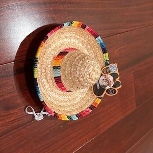 I got this from Walmart it is a dog/cat sombrero hat